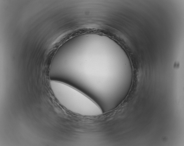 X0000113280968200909140937