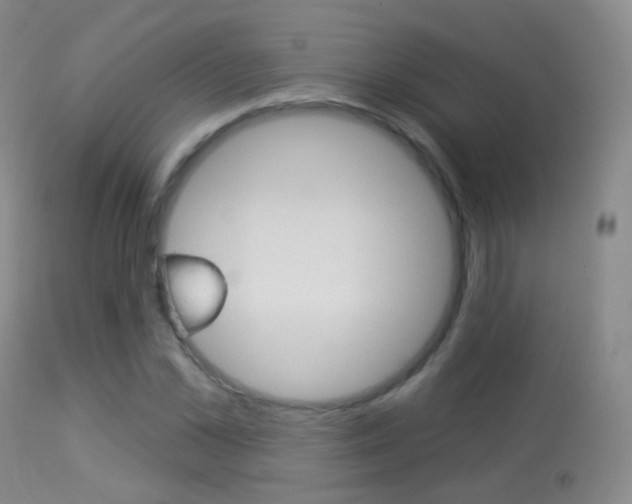 X0000113280973200909140937