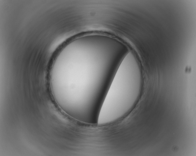 X0000113280975200909140937
