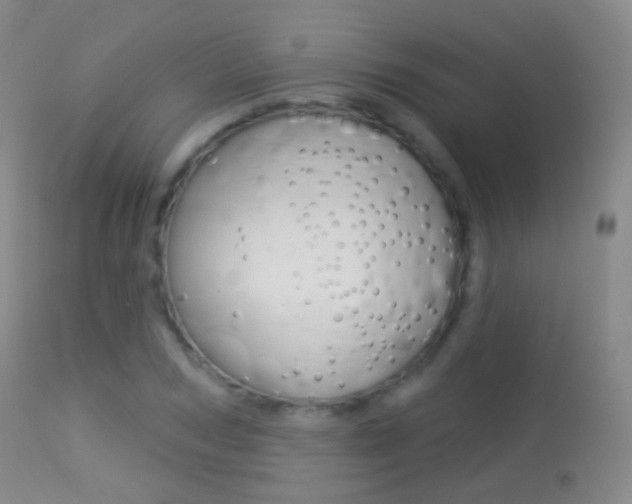 X0000113280978200909140937