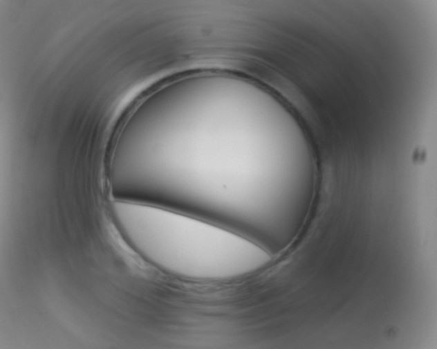 X0000113280980200909140937