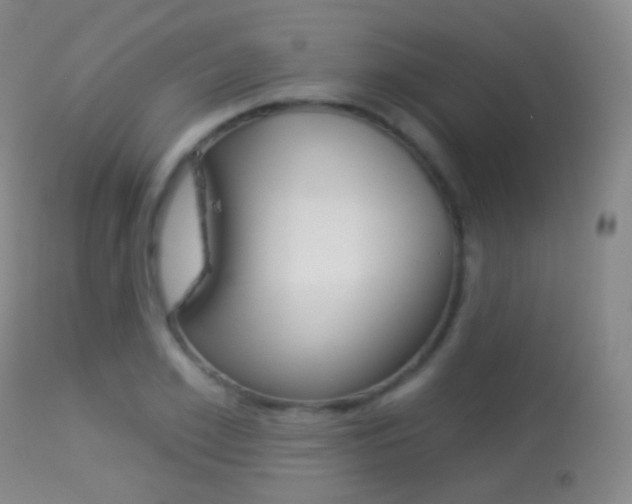 X0000113280981200909140937