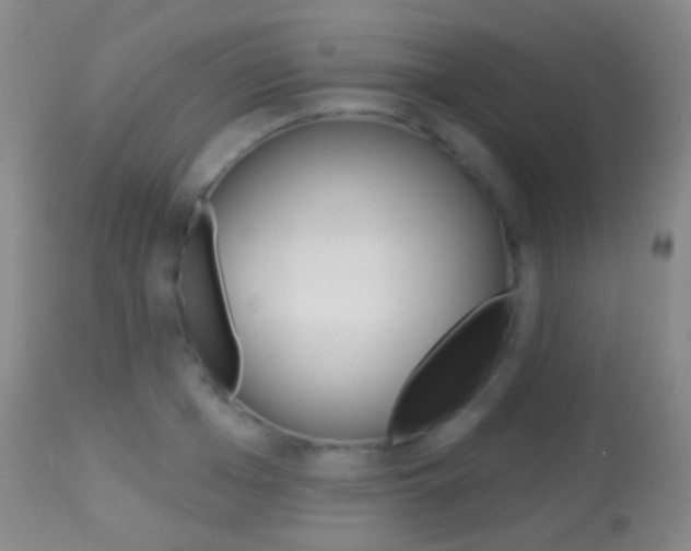 X0000113280985200909140937