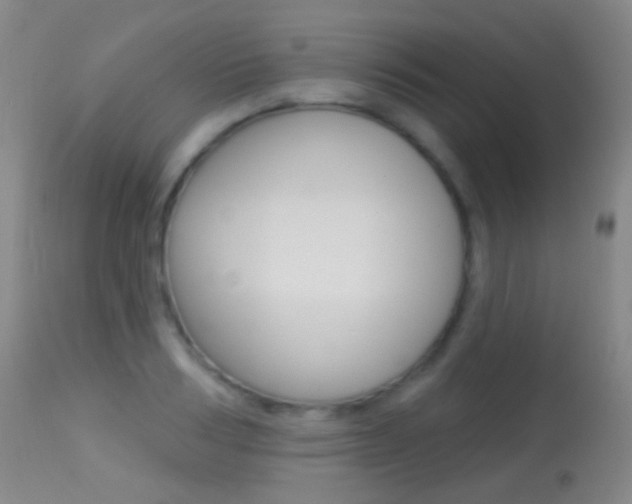 X0000113280986200909140937