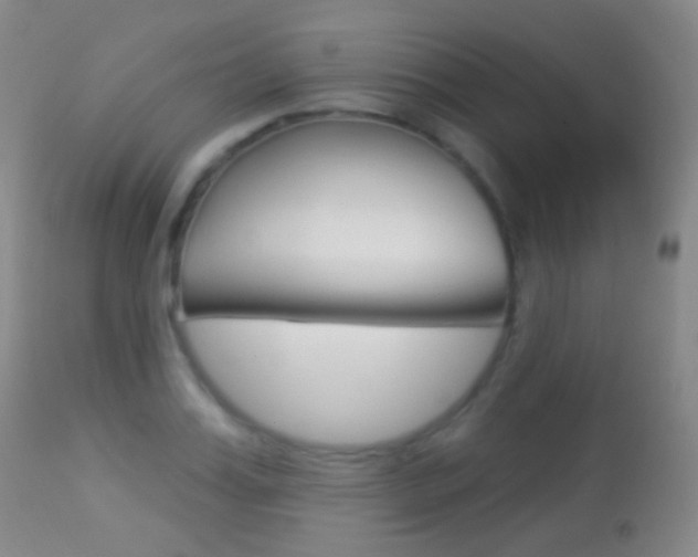 X0000113280987200909140937