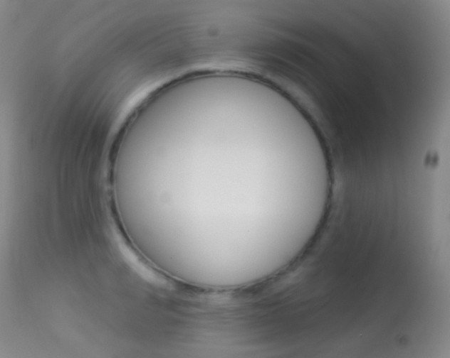 X0000113280990200909140937