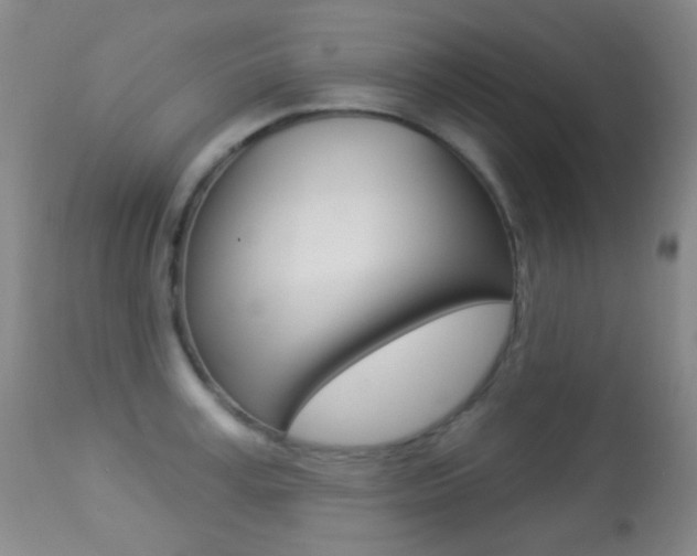 X0000113280995200909140936