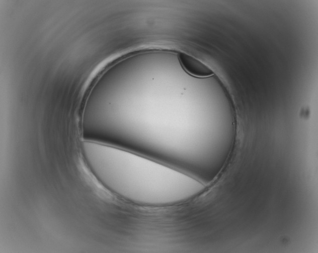 X0000113280996200909140936