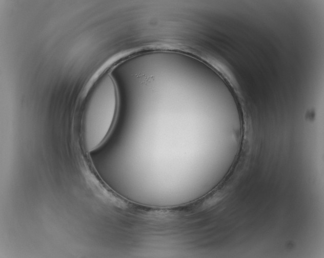 X0000113281000200909140936