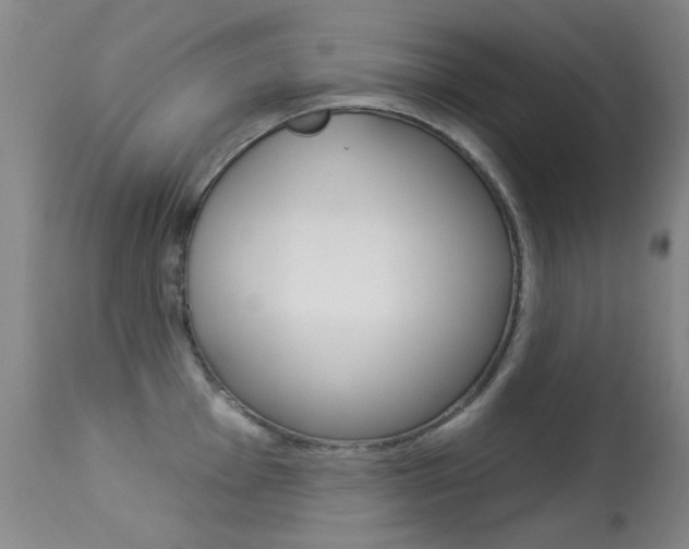 X0000113281001200909140936