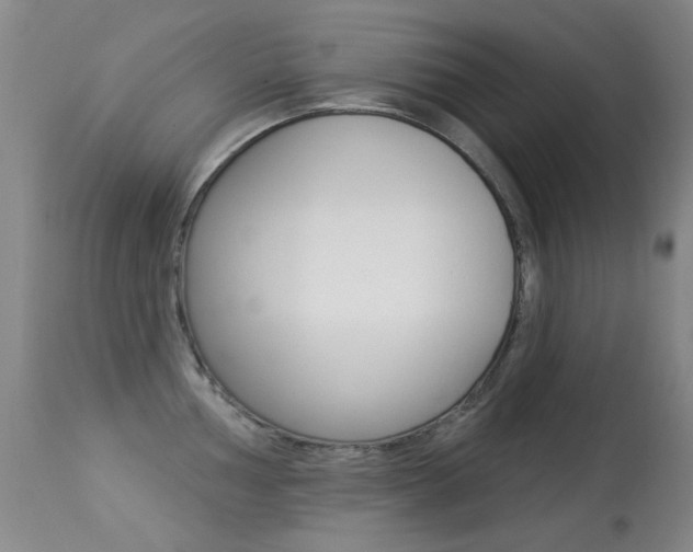 X0000113281002200909140936