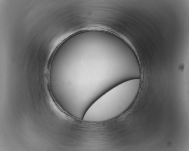 X0000113281003200909140936