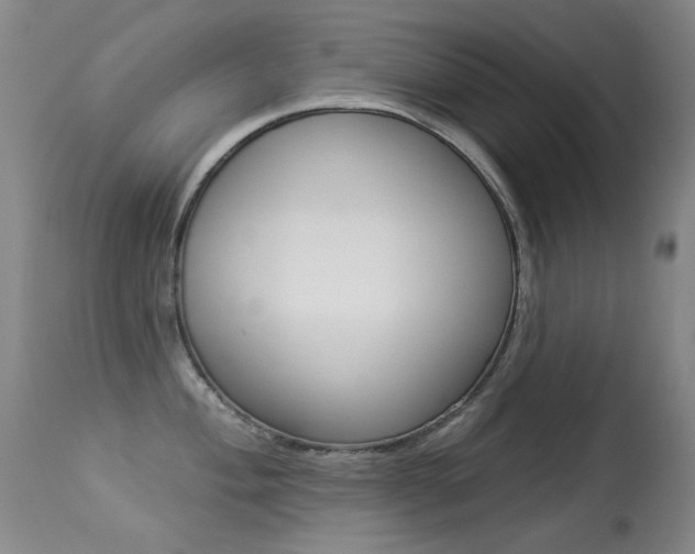 X0000113281004200909140936