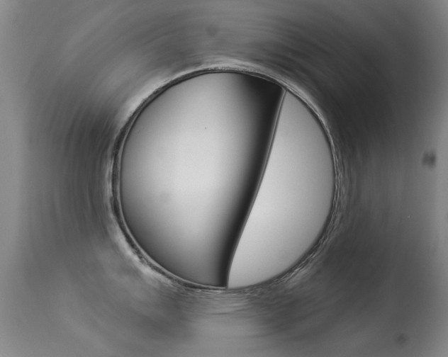 X0000113281007200909140936