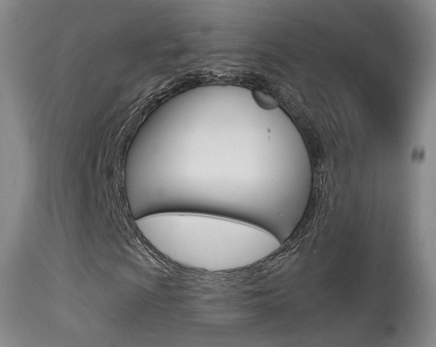 X0000113281009200909140936