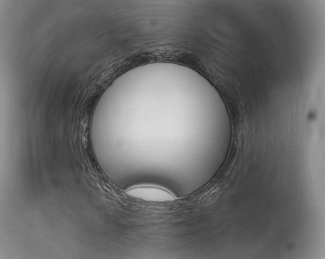 X0000113281010200909140936