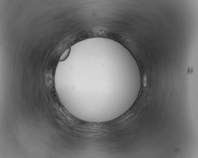 X0000113281011200909140936