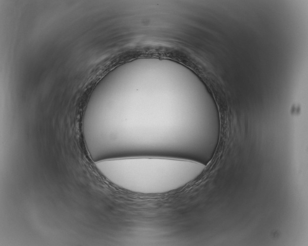 X0000113281013200909140936