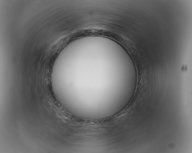 X0000113281014200909140936