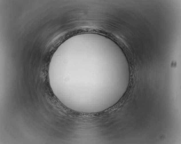 X0000113281015200909140936