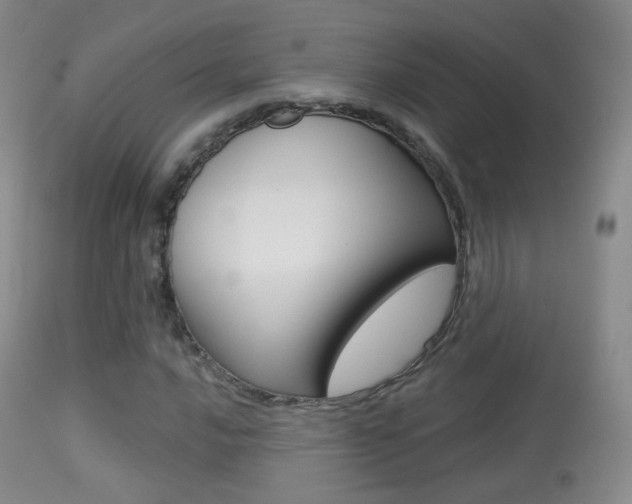 X0000113281016200909140936