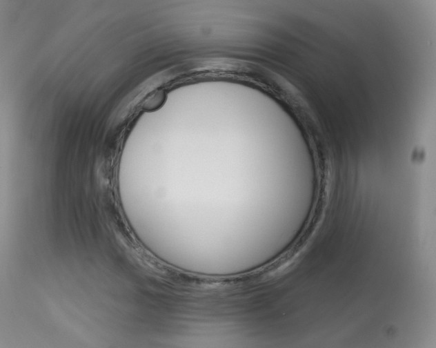 X0000113281017200909140936