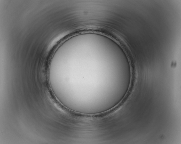 X0000113281018200909140936