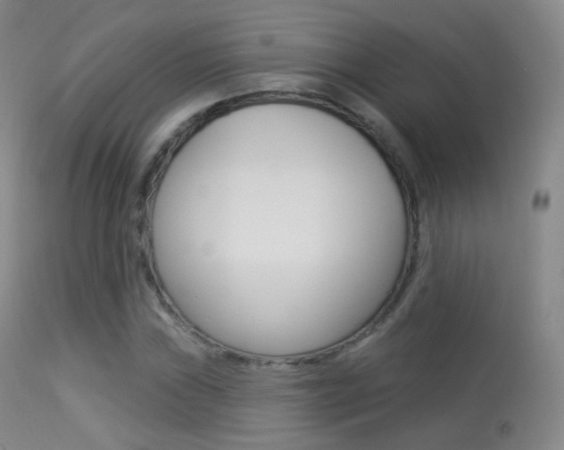 X0000113281019200909140936