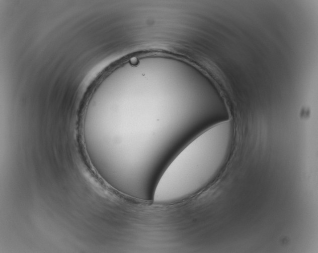 X0000113281020200909140936