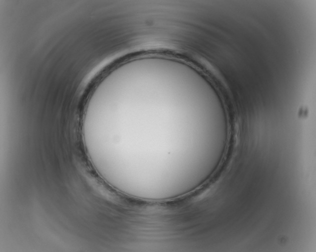 X0000113281021200909140936