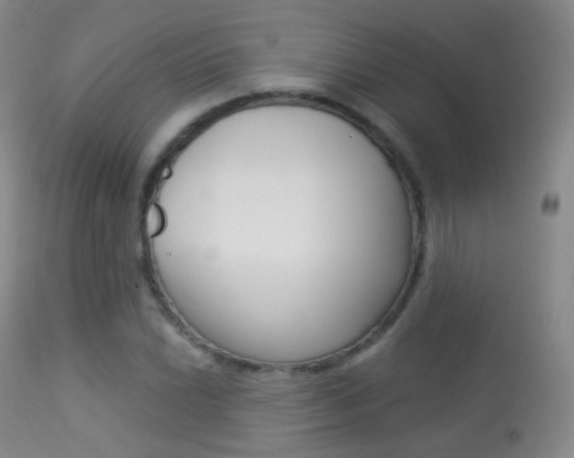 X0000113281022200909140936