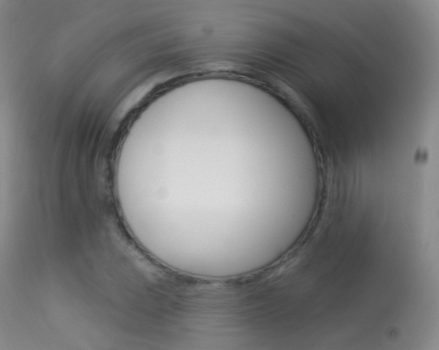 X0000113281023200909140936