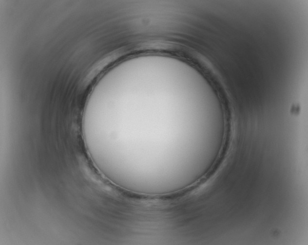 X0000113281025200909140936