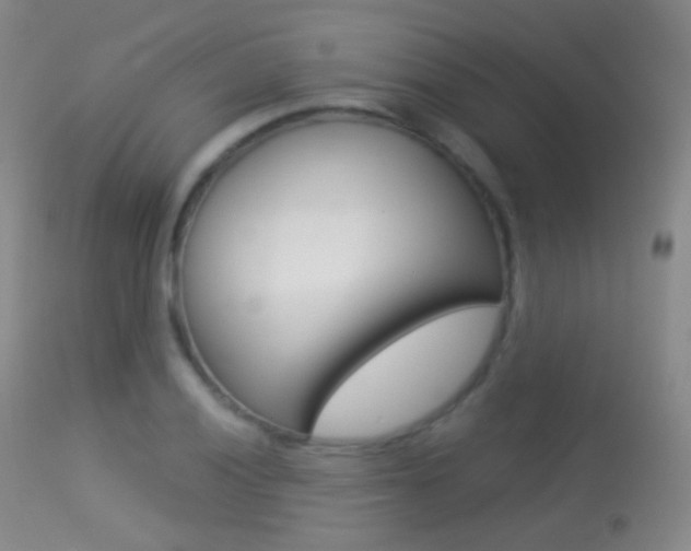 X0000113281028200909140936