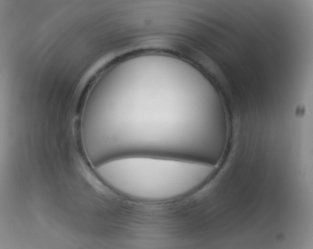 X0000113281029200909140936