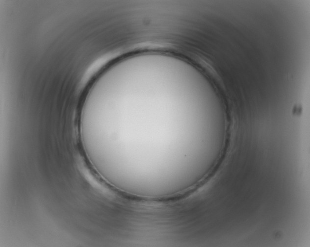 X0000113281030200909140936