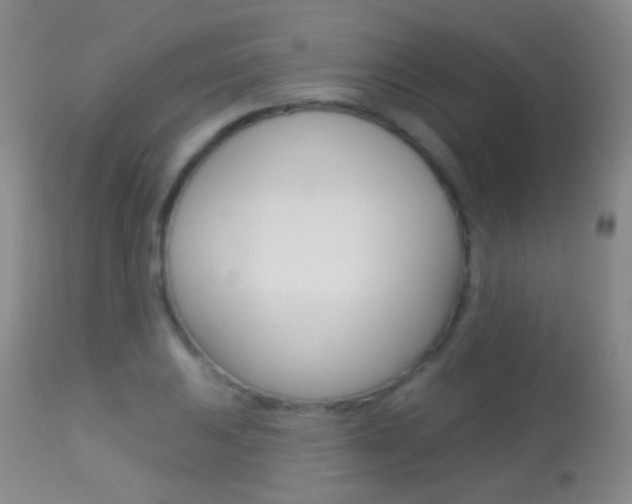 X0000113281031200909140936