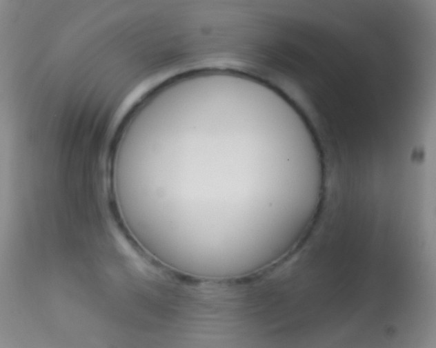 X0000113281032200909140936