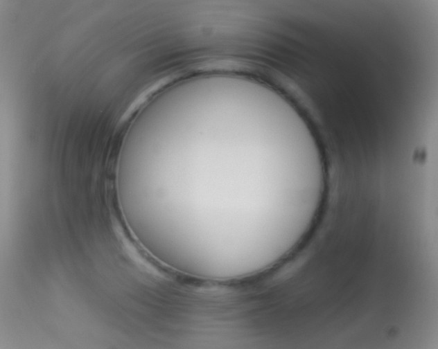 X0000113281033200909140936