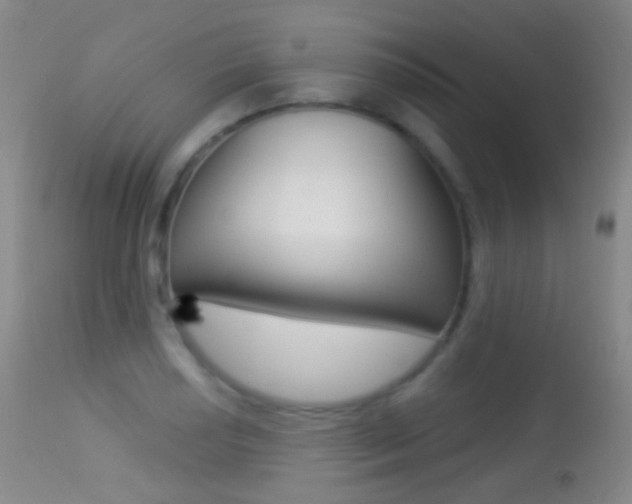 X0000113281034200909140936