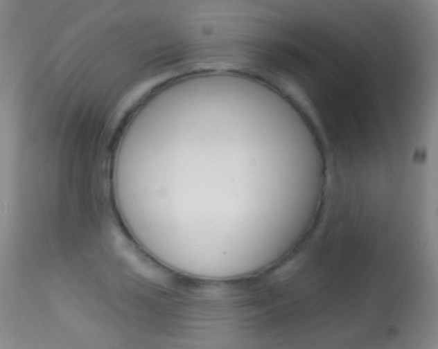 X0000113281035200909140936