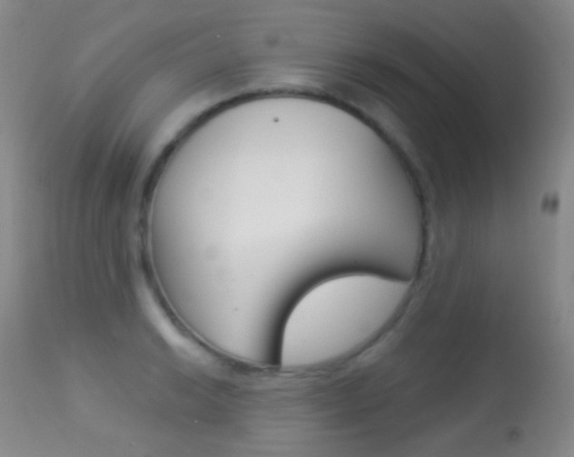 X0000113281038200909140936