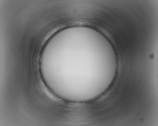 X0000113281039200909140936