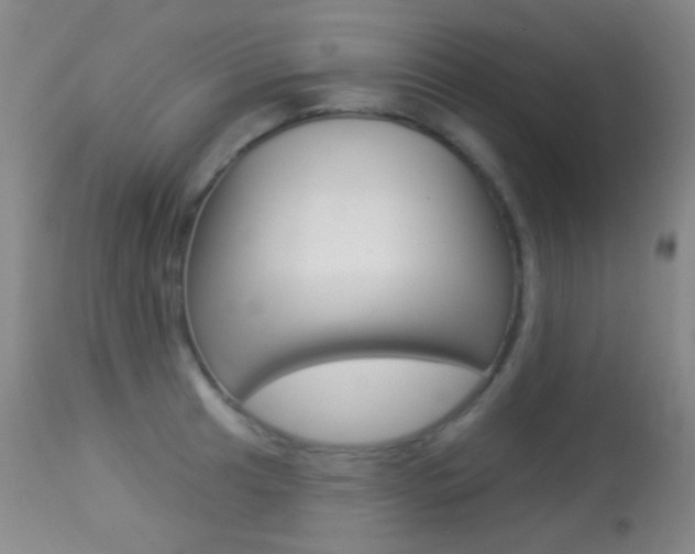 X0000113281041200909140936