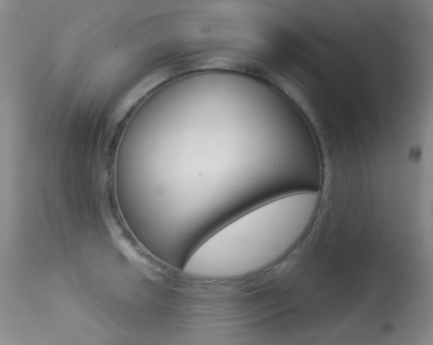 X0000113281042200909140936