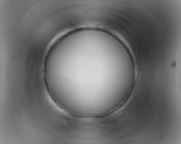 X0000113281045200909140936