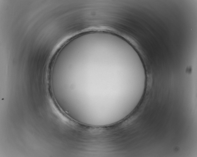 X0000113281046200909140936