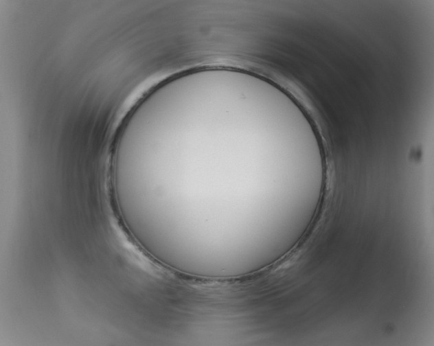 X0000113281048200909140936