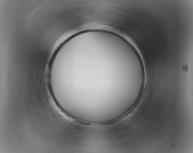 X0000113281053200909140936
