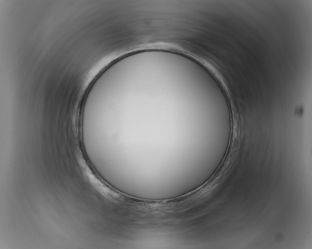 X0000113281054200909140936